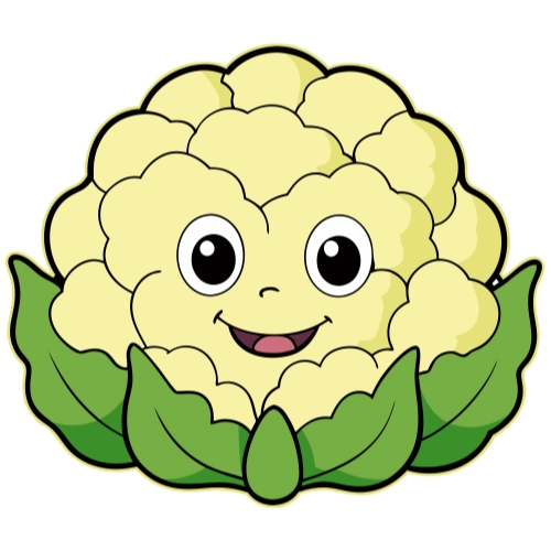 Craft Supply Classroom Cutout – Cartoon or Plain Cauliflower Vegetable Cutout